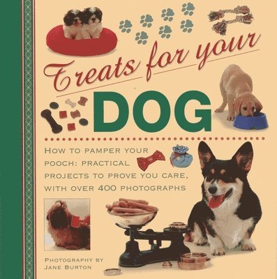 Treats for Your Dog 1