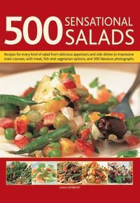 bokomslag 500 Sensational Salads