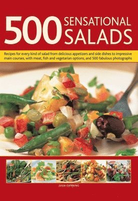 bokomslag 500 Sensational Salads