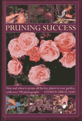 Pruning Success 1