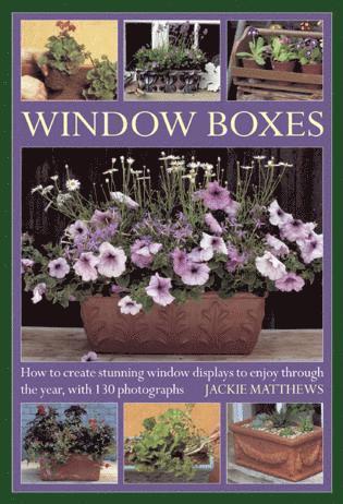 Jackie Matthews - Window Boxes, Inbunden