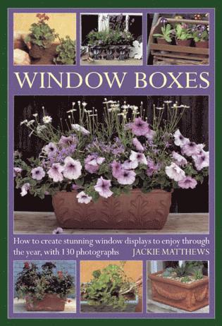 Window Boxes 1