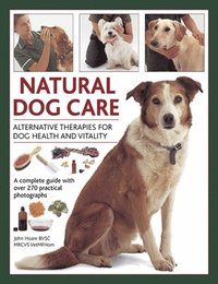 bokomslag Natural Dog Care
