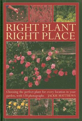 Jackie Matthews - Right Plant Right Place, Inbunden