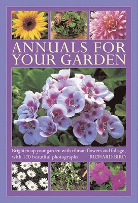 Annuals for Your Garden 1
