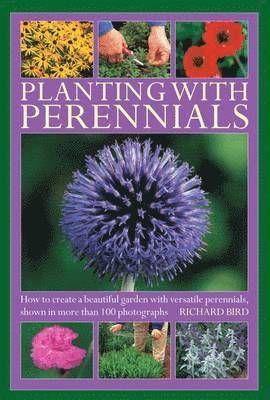 Planting with Perennials 1