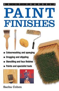 bokomslag Do-it-yourself Paint Finishes