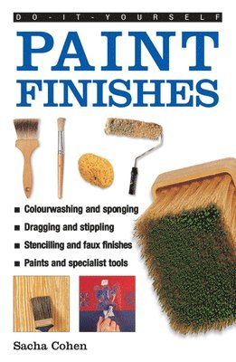 bokomslag Do-it-yourself Paint Finishes