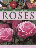 Peter McHoy - How to Grow Beautiful Roses, Inbunden