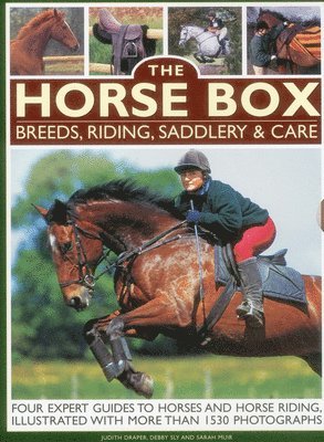 Horse Box: Breeds, Riding, Saddlery & Care 1