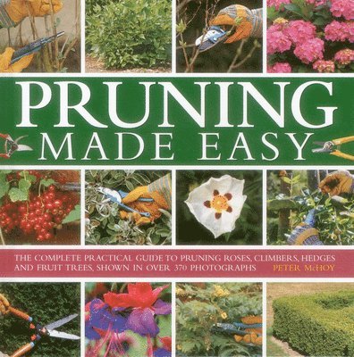 Pruning Made Easy 1