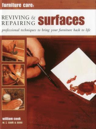 bokomslag Furniture Care: Reviving and Repairing Surfaces