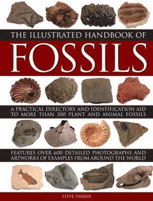 Parker Steve - Illustrated Handbook of Fossils, Inbunden
