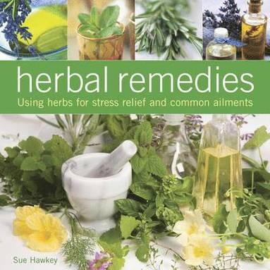 bokomslag Herbal Remedies