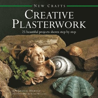 bokomslag New Crafts: Creative Plasterwork