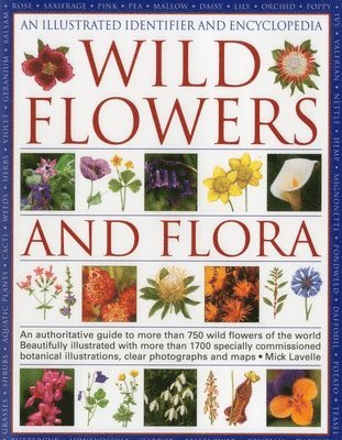Illustrated Identifier and Encyclopedia: Wild Flowers and Flora 1