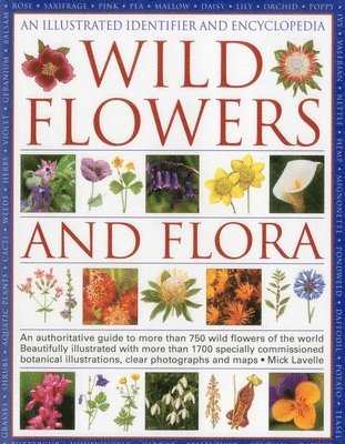 Illustrated Identifier and Encyclopedia: Wild Flowers and Flora 1