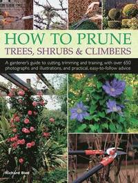 bokomslag How to Prune Trees, Shrubs & Climbers