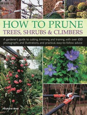 Bird Richard, Richard Bird - How to Prune Trees, Shrubs & Climbers, Häftad