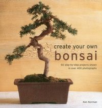 bokomslag Create Your Own Bonsai