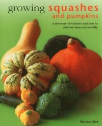 bokomslag Growing Squashes & Pumpkins