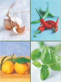 bokomslag Set of Four Magnetic Notepads: Herbs