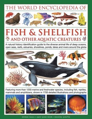 Derek Hall, Daniel Gilpin, Mary-Jane Beer - World Encyclopedia Of Fish & Shellfish And Other Aquatic Creatures, Inbunden