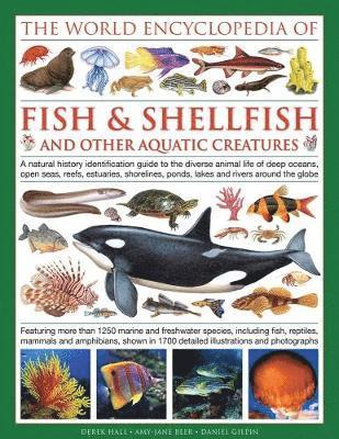 World Encyclopedia Of Fish & Shellfish And Other Aquatic Creatures 1