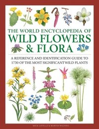 bokomslag Wild Flowers & Flora, The World Encyclopedia of