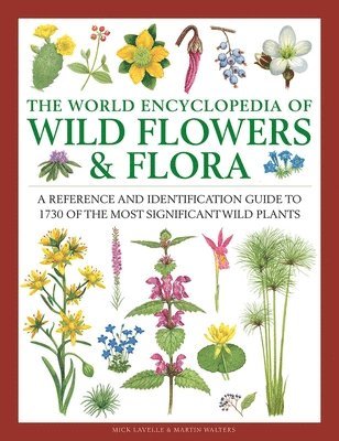 bokomslag Wild Flowers & Flora, The World Encyclopedia of