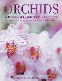 bokomslag Orchids