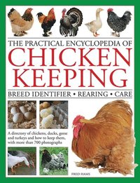 bokomslag Practical Encyclopedia of Chicken Keeping