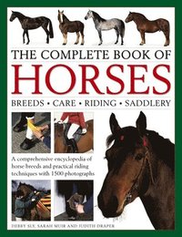 bokomslag Complete Book of Horses
