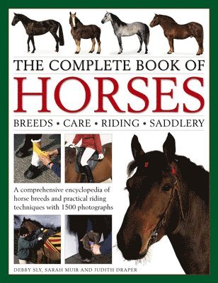 Complete Book of Horses 1