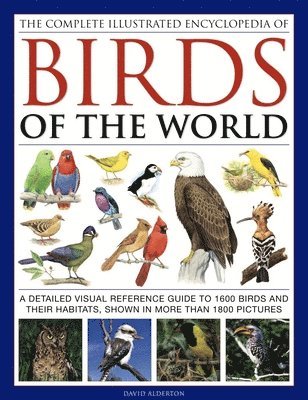bokomslag Complete Illustrated Encyclopedia of Birds of the World