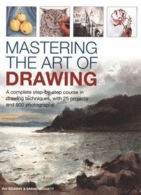 bokomslag Mastering the Art of Drawing