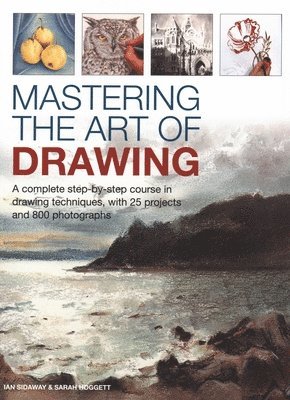 Mastering the Art of Drawing 1