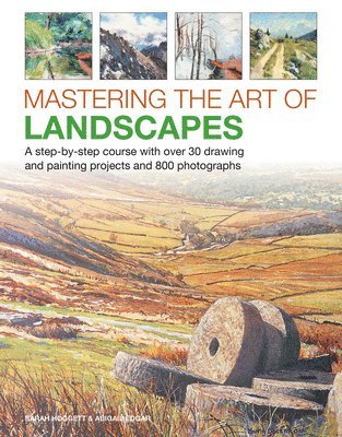 Mastering the Art of Landscapes 1