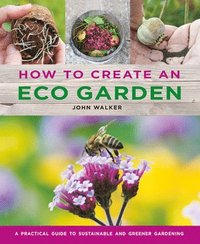 bokomslag How to Create an Eco Garden