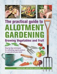 bokomslag Practical Guide to Allotment Gardening: Growing Vegetables and Fruit
