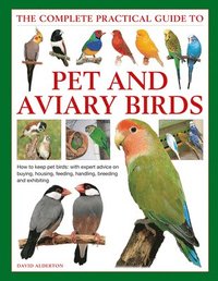 bokomslag Keeping Pet & Aviary Birds, The Complete Practical Guide to