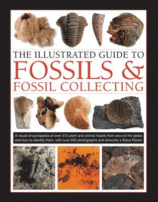 bokomslag Fossils & Fossil Collecting, The Illustrated Guide to