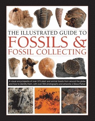 Steve Parker - Fossils & Fossil Collecting, The Illustrated Guide to, Inbunden