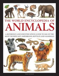 bokomslag Animals, The World Encyclopedia of