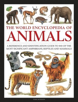 Tom Jackson - Animals, The World Encyclopedia of, Inbunden