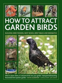 bokomslag How to Attract Garden Birds