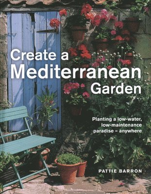 Create a Mediterranean Garden 1