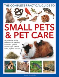 bokomslag Small Pets and Pet Care, The Complete Practical Guide to