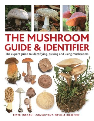 bokomslag The Mushroom Guide & Identifer