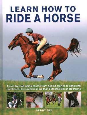 Learn How to Ride a Horse
